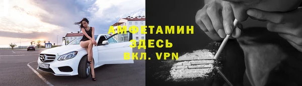 молекула духа Бородино