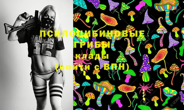 молекула духа Бородино