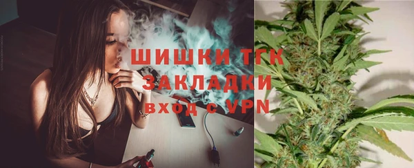 молекула духа Бородино